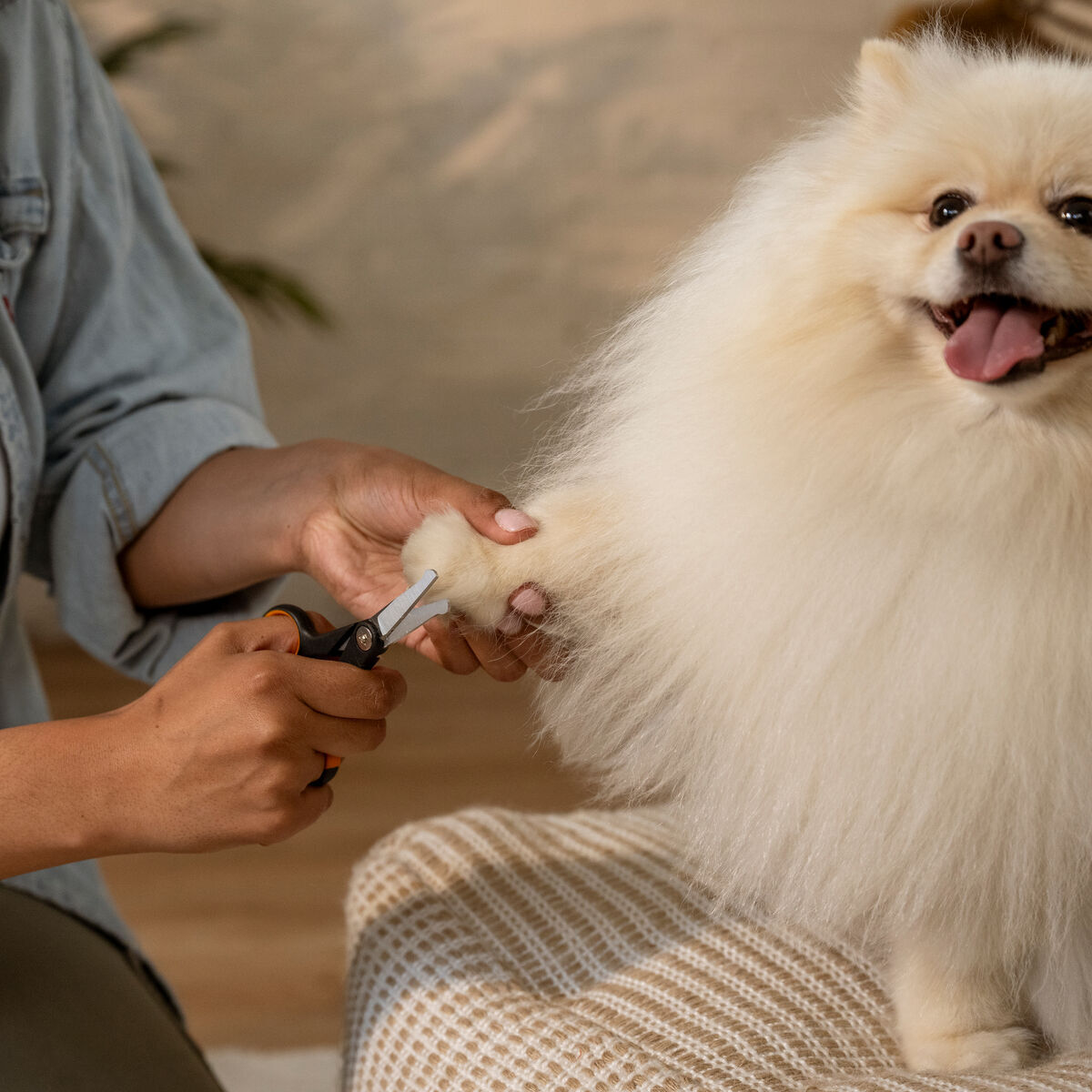 Fiskars detailing scissors
